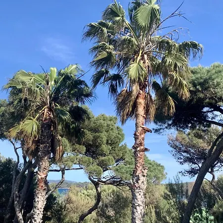 Bergerie Balneo Clim Piscine Appartement