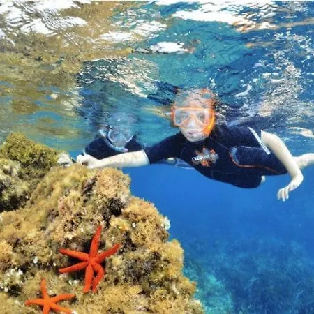 Appartement Bergerie Balneo Clim Piscine *