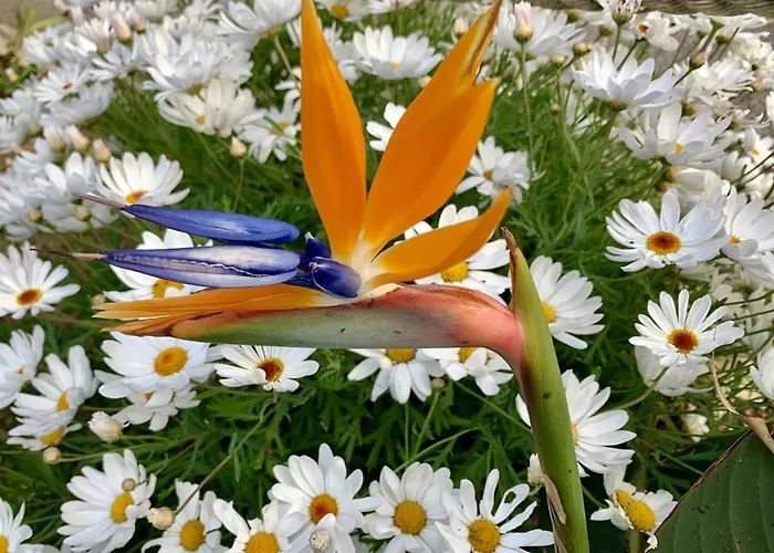 Bergerie plage Apartment