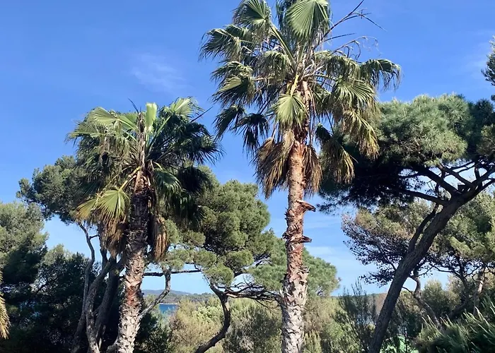 Bergerie plage Apartment