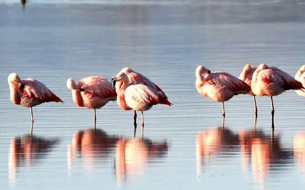 Bergerie Plage Entierement Renove Prestations Premium Baignoire Balneo Clim Vue Piscine Et Parc Lejlighed *