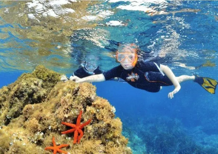 Lejlighed Bergerie Plage Entierement Renove Prestations Premium Baignoire Balneo Clim Vue Piscine Et Parc *